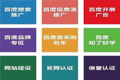 案例剖析：SEM网络推广助力品牌快速崛起